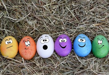 «Этикалық жұмыртқа» саудаға шығарылды