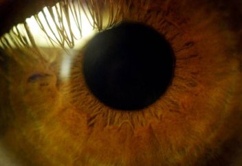 Гиалуронды қышқыл глаукомадан қорғайтын болып шықты