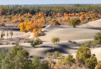 Әлемде 2050 жылы шөлге айналған жерлер 90 пайызға артуы мүмкін