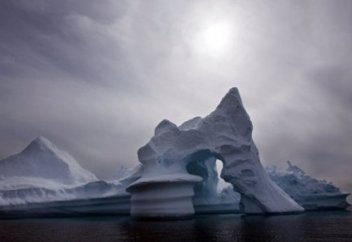 Ученые из 184 стран подписали второе "Предупреждение человечеству"