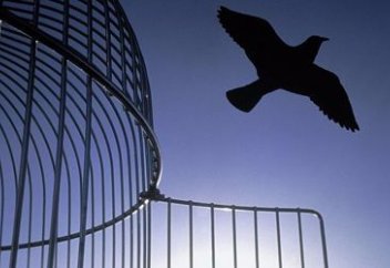 Құрбан айттың құрметіне 700-ге тарта тұтқынға рақымшылық жасалады