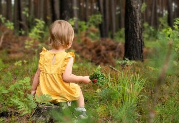 Жасыл желектің жанында тұратын балалар өкпесінің өзгелерге қарағанда әлдеқайда сау келетіні анықталды