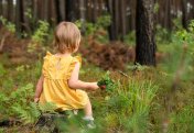 Жасыл желектің жанында тұратын балалар өкпесінің өзгелерге қарағанда әлдеқайда сау келетіні анықталды