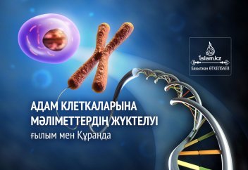 Адам клеткаларына мәліметтердің жүктелуі ғылым мен Құранда