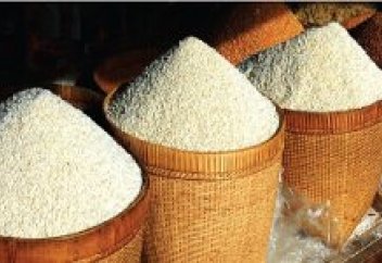 Иран фермерлері биыл 2,6 млн тонна күріш өндірген