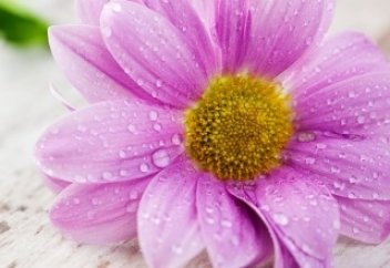 Қыз іздеймін!