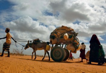 Жаһан: Әлемнің бір елін соңғы жүз жылда болмаған алапат қуаңшылық жайлады (видео)