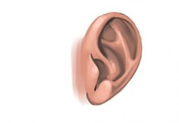 Портится ли омовение, если из уха вытекает ушная сера?