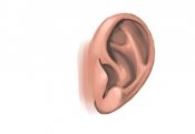 Портится ли омовение, если из уха вытекает ушная сера?