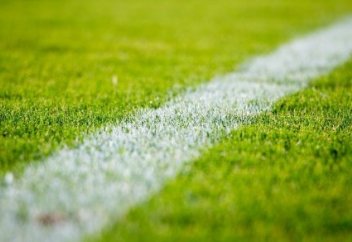 Гол-красавец ударом через себя забили в чемпионате Казахстана (видео)