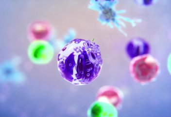 Иммундық жасушалардың бөгде микроорганизмдерді қалай іздейтіні анықталды