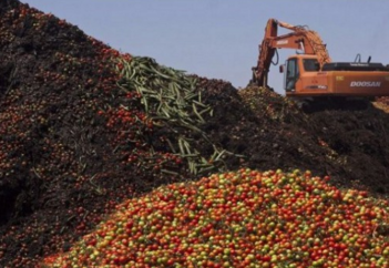 Как поступают с контрафактом в исламской стране