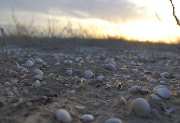 Остров, навсегда утраченный Казахстаном (фото)