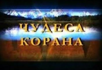 Преследование за чудеса Корана