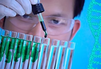 Наука подтвердила слова Пророка ﷺ о копчике