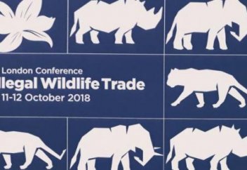 Адамзат 44 жыл ішінде жануарлардың 60 пайызын жойып жіберген