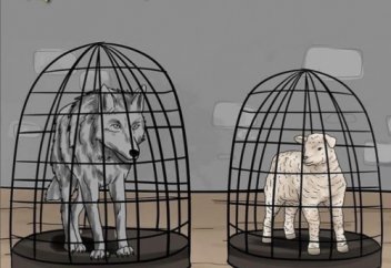 ҚЫЗЫҚ ТӘЖІРИБЕ…