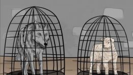 ҚЫЗЫҚ ТӘЖІРИБЕ…