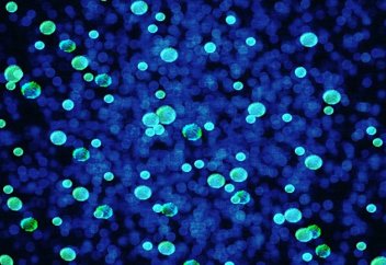 Новая технология впервые позволяет увидеть отдельные атомы
