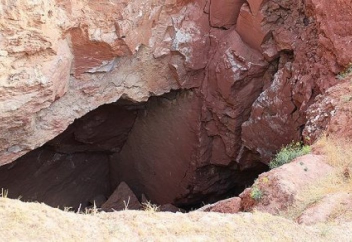 Неизвестное науке существо нашли в пещере на востоке Туркменистана (фото)