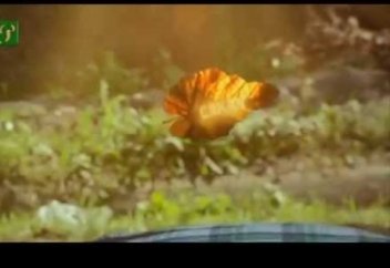 "Обратный отсчет"