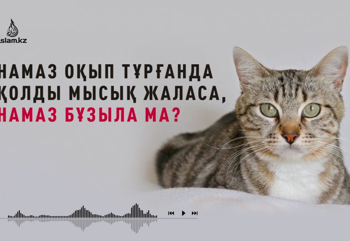 Интернеттегі қыздардың бетіндегі фотосуреттер