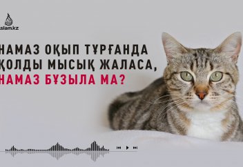 Намазда мысық... - Абдусамат Қасым