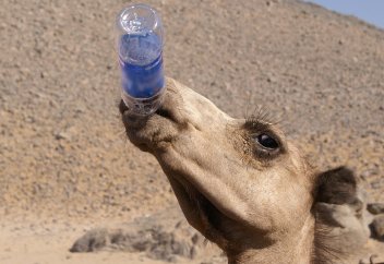 Разные: Врач рассказал, как не стоит утолять жажду в жару