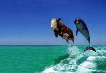 Играя роль другого человека, вы приобретаете его черты