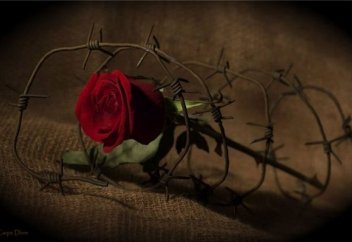 Правильно ли все списывать на предопределение?