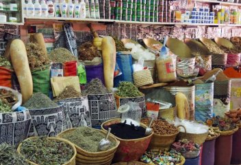 Чудодейственные травы: семь древних растительных лечебных средств из арабского мира