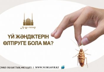Үй жәндіктерін өлтіруге болады ма?