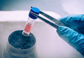 Иран трансплантацияға арналған дәрі ойлап тауып, жылына 20 млн доллар үнемдеп отыр