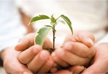 Айлықтан зекет беріле ме?