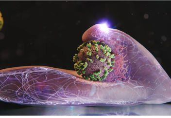 Тұмау вирусының жасушаға қалай жұғатыны таспаға тартылды (видео)