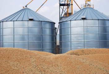 Выгода на $70 млн: почему Казахстан должен экспортировать муку, а не зерно