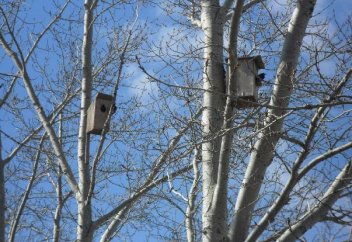 Ағзаңызды көктем мезгіліне дайындадыңыз ба?