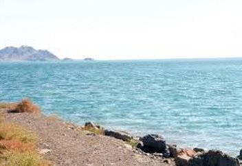 Власти Казахстана ответили, будут ли там американские базы