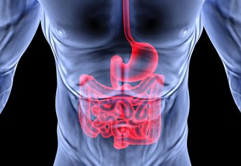 Асқазанды тазалаудың қарапайым жолдары