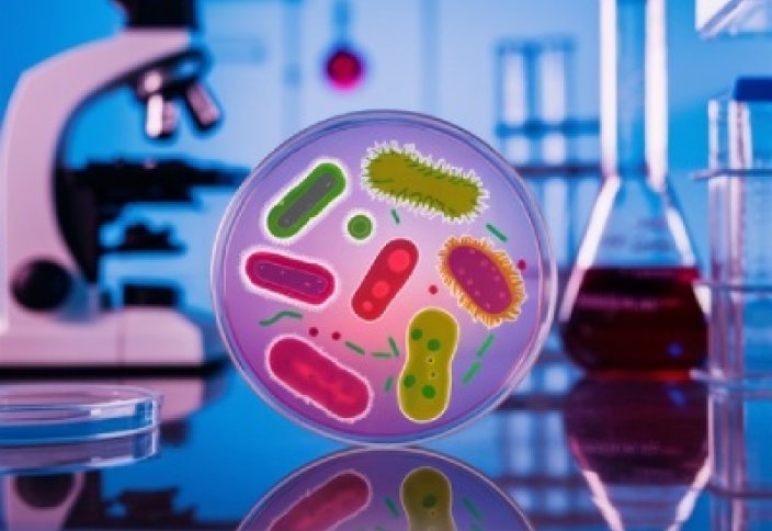 2025 жылға дейін супербактериядан 1 млн-ға тарта адам өледі