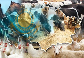 Қазақстан 200$ сатқан өнімін шетелден 1000$ қайтып сатып алады – сарапшы