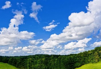 Жаһандық жылынумен табиғаттың өзі күреседі – бұлтты ағартатын орман