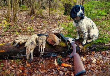 Сроки охоты на животных и водоплавающую дичь изменят в Казахстане