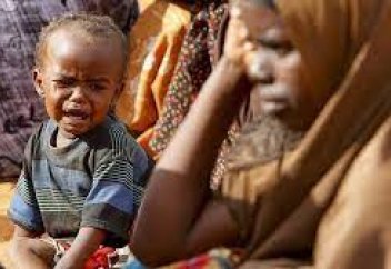 ООН: число голодающих в мире с 2019 года увеличилось на 122 миллиона человек