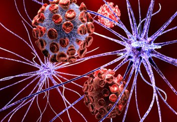 Forskning (Норвегия): вирусы — друзья и враги одновременно