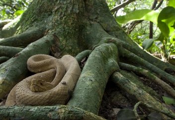 Әлемдегі саяхат жасауға қауіпті 10 мекен (фото)
