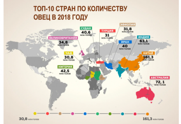 Топ 10 стран по количеству овец. ТОП-10 стран-экспортеров говядины
