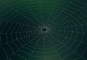 Уникальные свойства паутины, указанные в аятах Корана