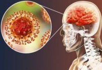 Келесі, ықтимал, жойқын пандемияның ең қатерлі тұсы неде