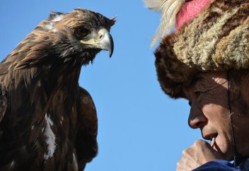 Қыран бүркіт не алмайды, салса баптап?!